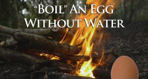 Boil-an-Egg-Without-Water-Survival-Preparedness