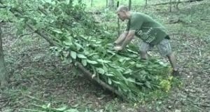 Survival-shelter-made-with-weeds-1